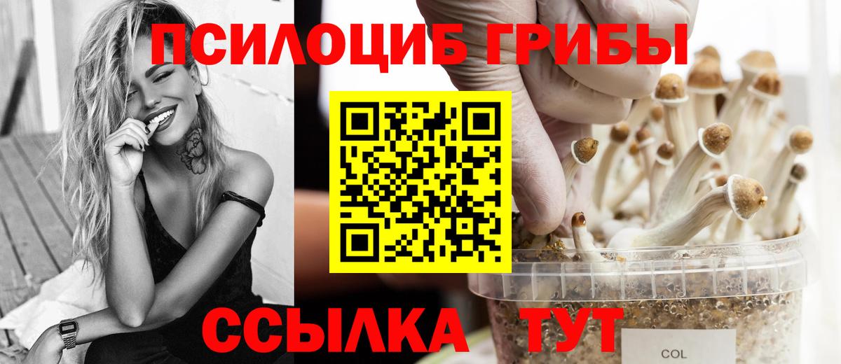 Костомукша  Галлюциногенные грибы Psilocybe  Вход с VPN  Галлюциногенные грибы ЛСД 